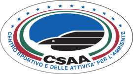 CSAA